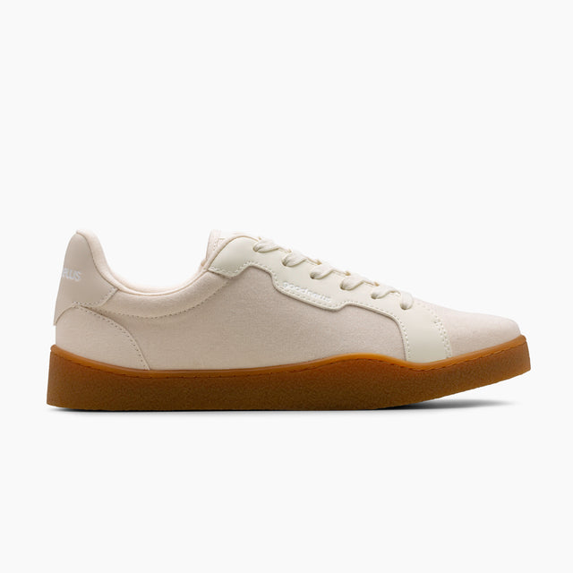 VENUS oatmeal